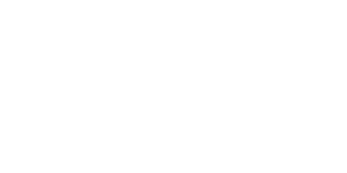Dunoyer de Segonzac