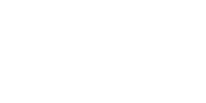 Le temps d'un ballet